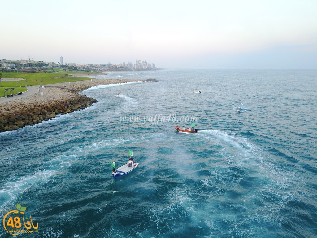 iste3rad sayaden yaffa (3).JPG